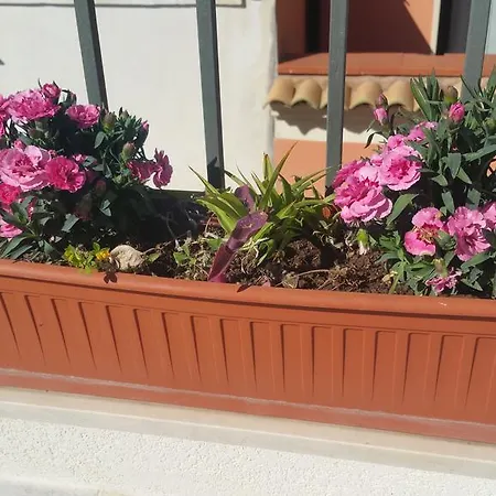 Casa Sogniblei Locazione Turistica B&B 라구사