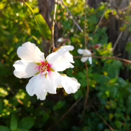 B&B Casa Sogniblei Locazione Turistica 3*